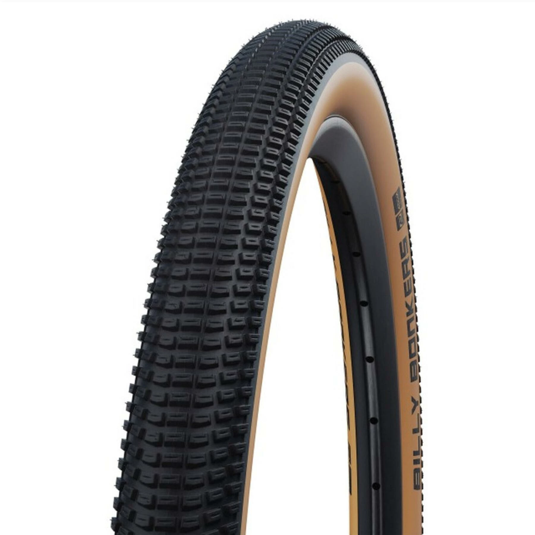Roue Souple Schwalbe Billy Bonkers Hs600erf.Addix 3 Roue Souple Schwalbe Billy Bonkers Hs600erf.Addix