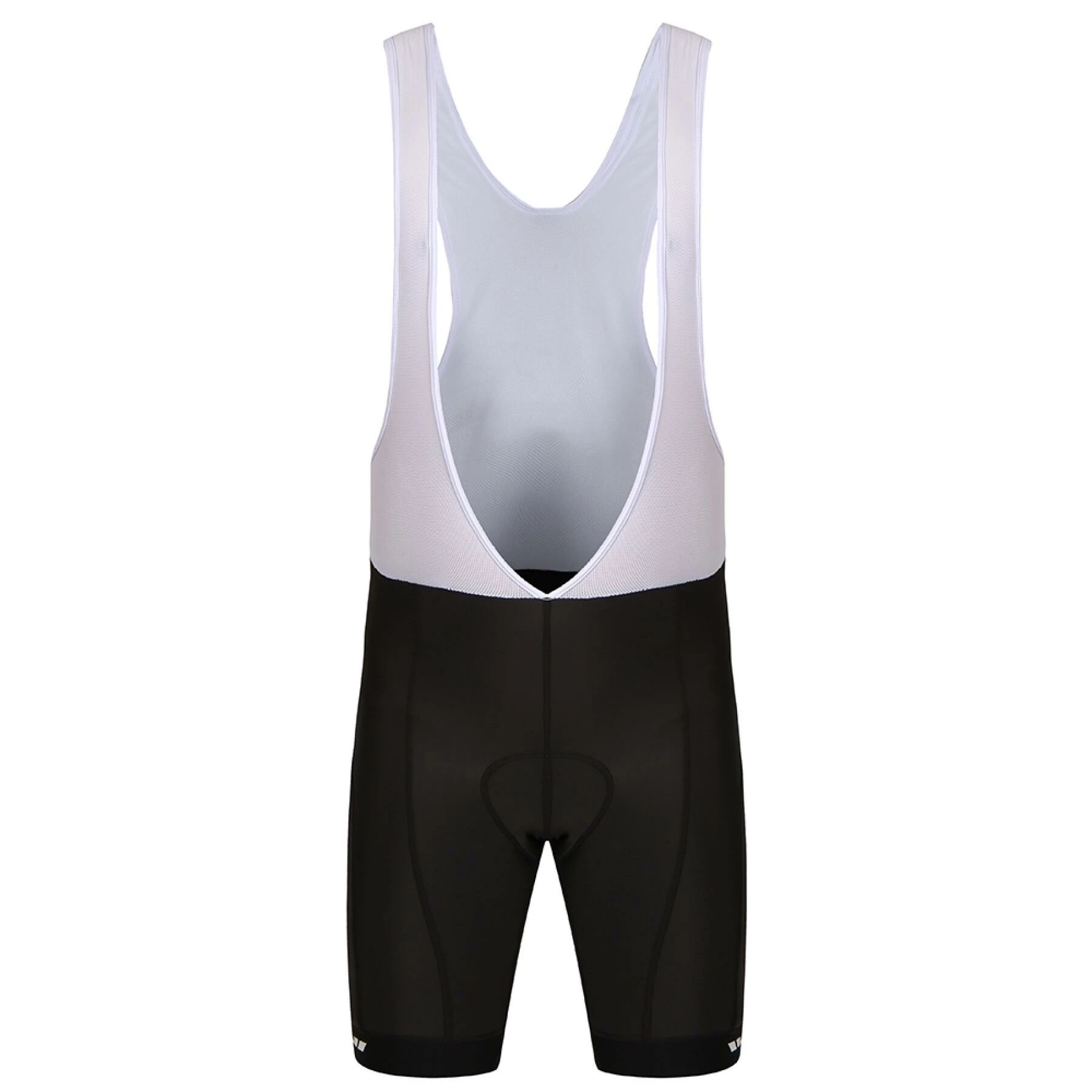 Cuissard Fuji Race 4 Cuissard Fuji Race – Image 2