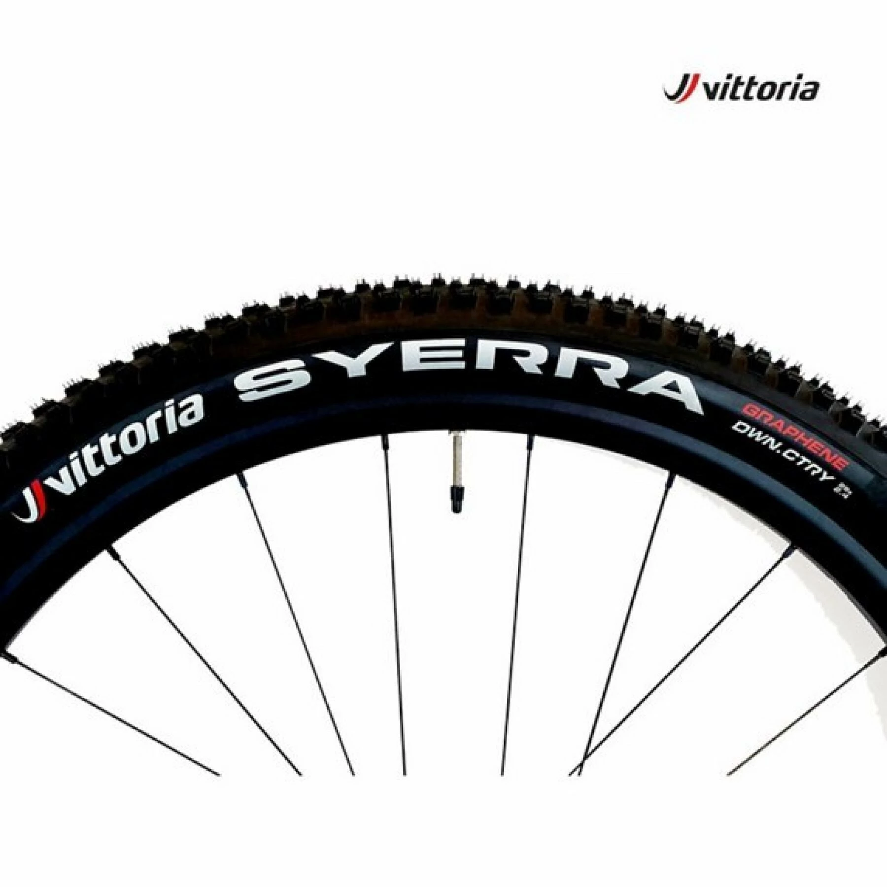 PneuFALSE Vittoria VTT Syerra G2 4 PneuFALSE Vittoria VTT Syerra G2 – Image 2